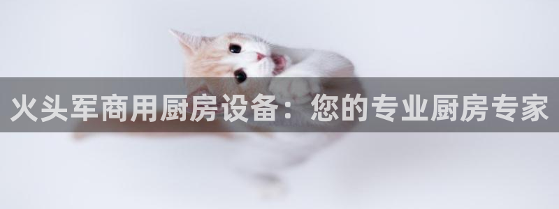 凯时尊龙app国际官方网站：火头军商用厨房设备：您的专业厨房