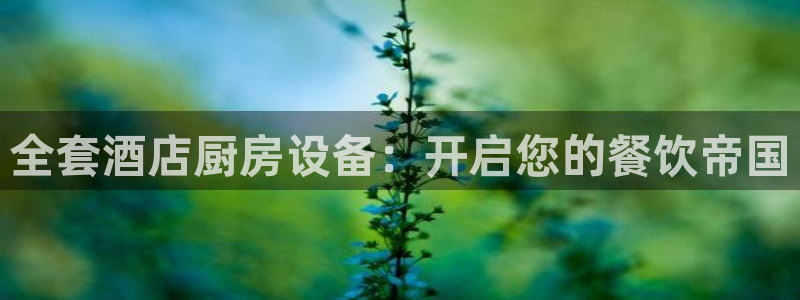 尊龙凯时d3563：全套酒店厨房设备：开启您的餐饮帝国