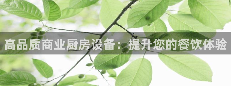 尊龙人生就是博一下首页：高品质商业厨房设备：提升您的餐饮体验