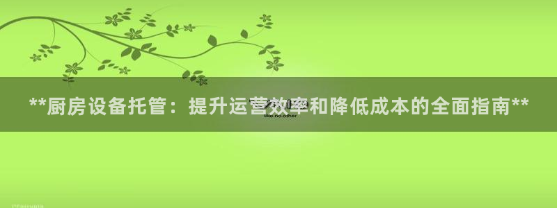 凯时app官方首页：**厨房设备托管：提升运营效率和降低成本