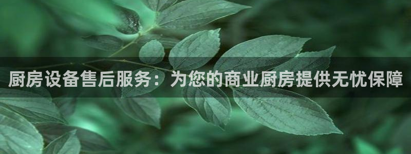 尊龙官网注册：厨房设备售后服务：为您的商业厨房提供无忧保障