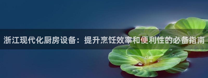 尊龙凯时集团：浙江现代化厨房设备：提升烹饪效率和便利性的必备