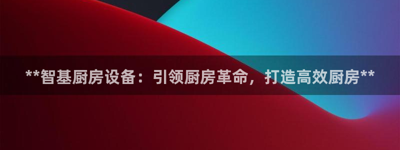 尊龙 国外：**智基厨房设备：引领厨房革命，打造高效厨房**