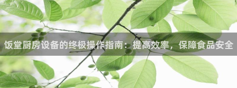 凯时kb88官网网址：饭堂厨房设备的终极操作指南：提高效率，