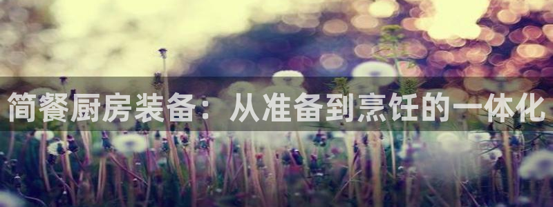 尊龙登录首页：简餐厨房装备：从准备到烹饪的一体化