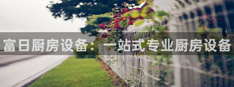 尊龙凯时人生就是搏包装优势：富日厨房设备：一站式专业厨房设备