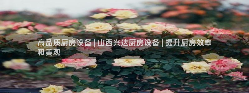 尊龙凯时官网版登录：高品质厨房设备 | 山西兴达厨房设备 |