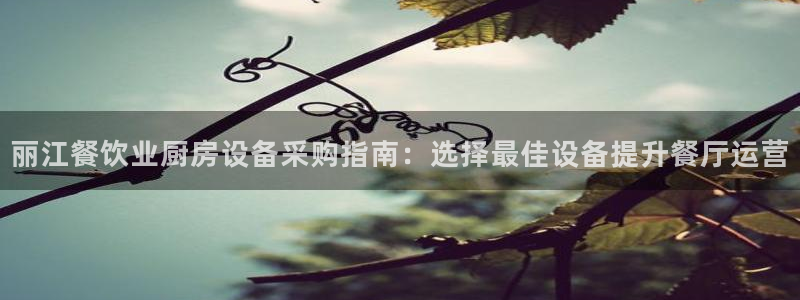 尊龙2020：丽江餐饮业厨房设备采购指南：选择最佳设备提升餐