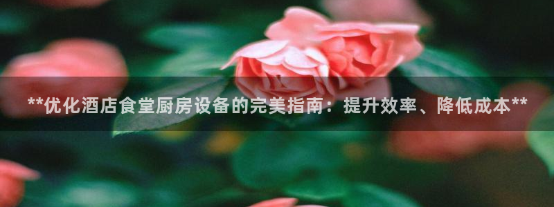 z6尊龙z6：**优化酒店食堂厨房设备的完美指南：提升效率、