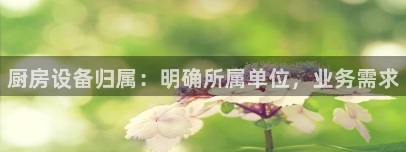 尊龙凯时百万奖池：厨房设备归属：明确所属单位，业务需求