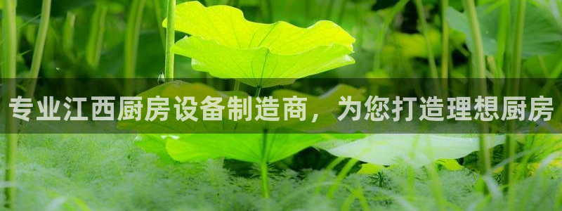 尊龙官网在哪里：专业江西厨房设备制造商，为您打造理想厨房