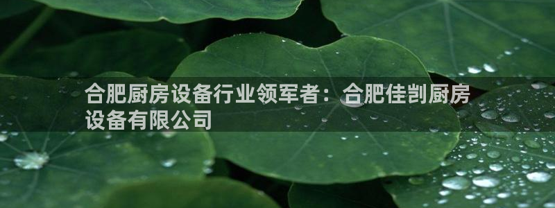 尊龙官网APP下载：合肥厨房设备行业领军者：合肥佳剀厨房
设