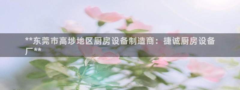 尊龙手机客户端app：**东莞市高埗地区厨房设备制造商：捷诚