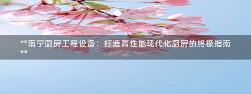 凯时国际平台有人赢吗：**南宁厨房工程设备：打造高性能现代化