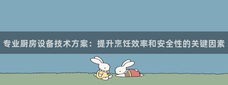 尊龙凯时网站登录：专业厨房设备技术方案：提升烹饪效率和安全性