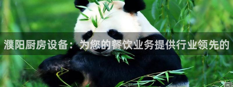 尊龙z6集团：濮阳厨房设备：为您的餐饮业务提供行业领先的