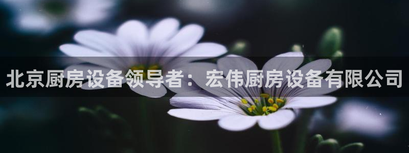 尊龙t300和t400哪个好：北京厨房设备领导者：宏伟厨房设