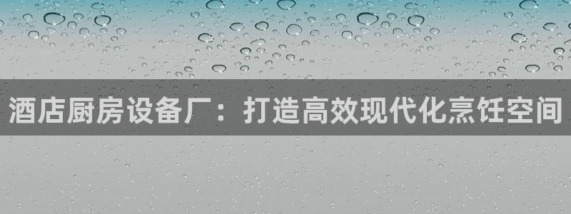 尊龙凯时口碑好吗：酒店厨房设备厂：打造高效现代化烹饪空间