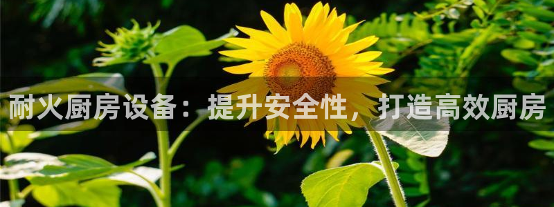尊龙新版app首页：耐火厨房设备：提升安全性，打造高效厨房