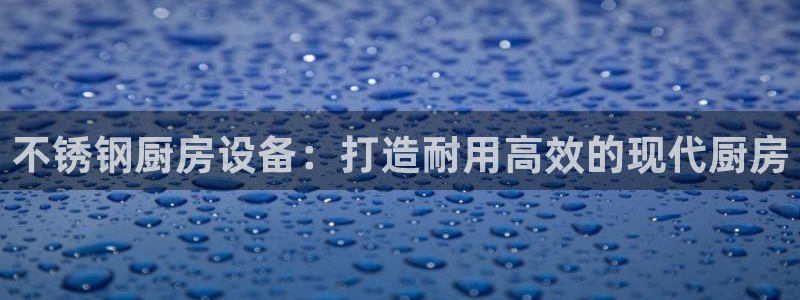 尊龙官网手机版：不锈钢厨房设备：打造耐用高效的现代厨房