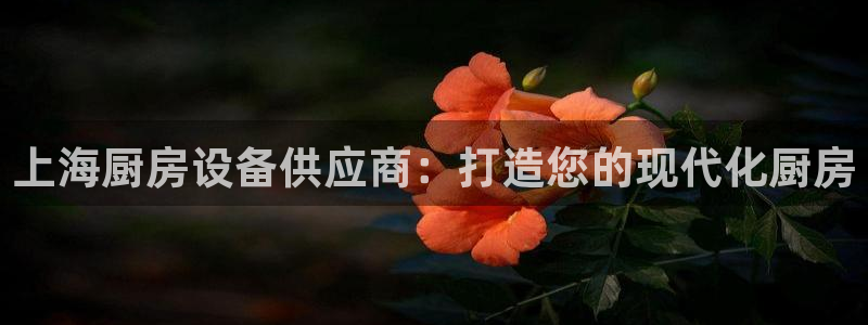 尊龙凯时官方下载：上海厨房设备供应商：打造您的现代化厨房