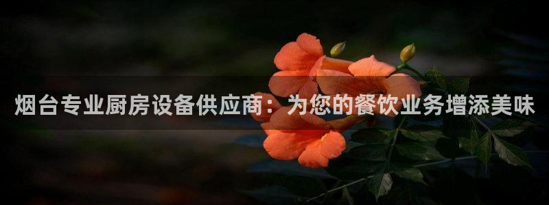 尊龙z6：烟台专业厨房设备供应商：为您的餐饮业务增添美味