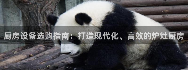 尊龙d88现金旧版本：厨房设备选购指南：打造现代化、高效的炉
