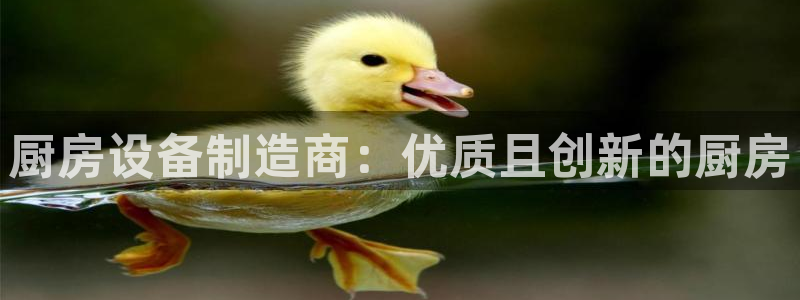 尊龙z6.con：厨房设备制造商：优质且创新的厨房