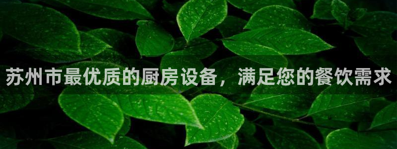 尊龙人生就是博一下下：苏州市最优质的厨房设备，满足您的餐饮需
