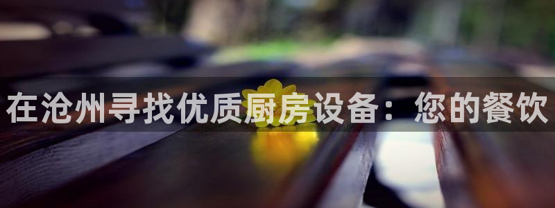 尊龙多少岁：在沧州寻找优质厨房设备：您的餐饮