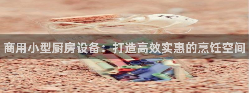 尊龙人生就是博旧版：商用小型厨房设备：打造高效实惠的烹饪空间