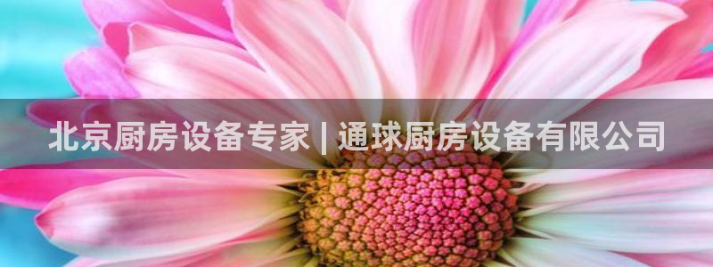 凯时kb88官网网址：北京厨房设备专家 | 通球厨房设备有限