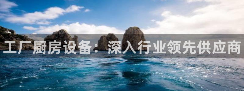尊龙人生就是博一下下：工厂厨房设备：深入行业领先供应商