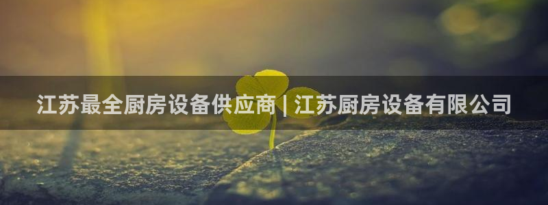 尊龙网站 人生就是博：江苏最全厨房设备供应商 | 江苏厨房设