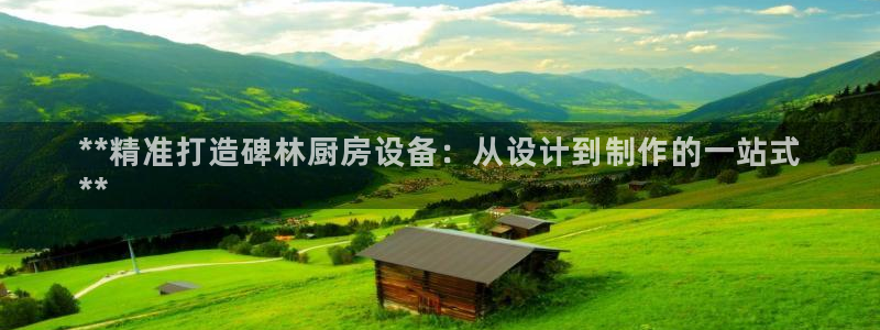凯时网址多少：**精准打造碑林厨房设备：从设计到制作的一站式