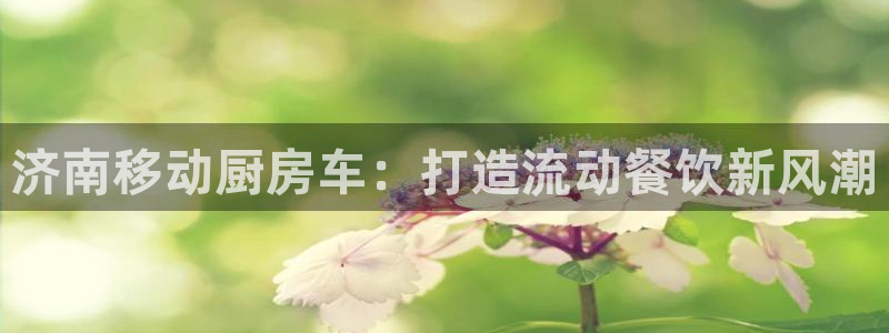 Z6尊龙老版