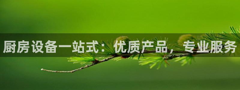 尊龙人生就是博首页入口：