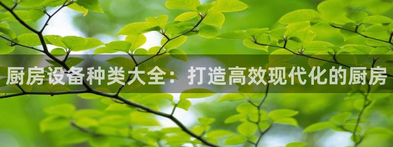 凯时kb88公司简介：厨