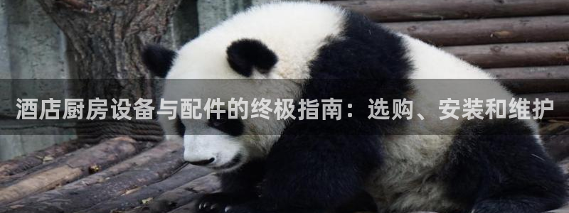 尊龙人生就是博中国区：酒店厨房设备与配件的终极指南：选购、安