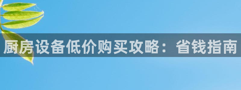 尊龙旗舰app：厨房设备低价购买攻略：省钱指南