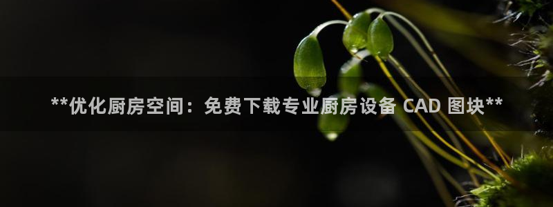 尊龙凯时邀请码：**优化