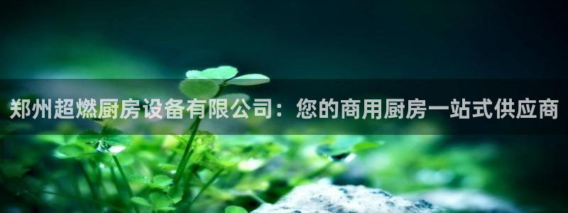 尊龙人品怎么样：郑州超燃