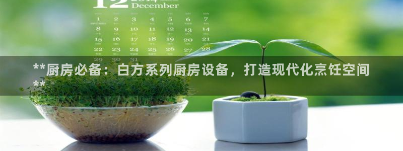 凯时网上官方网站：**厨房必备：白方系列厨房设备，打造现代化