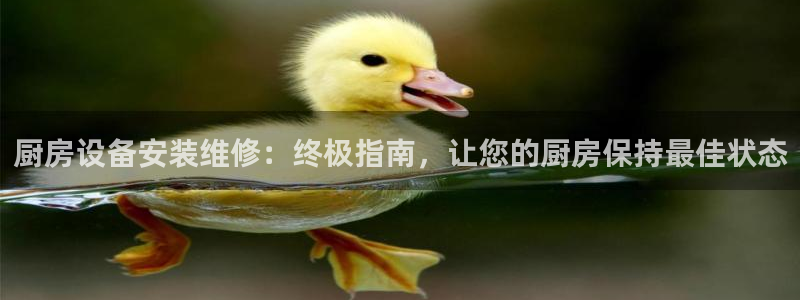 尊龙官网入口：厨房设备安装维修：终极指南，让您的厨房保持最佳