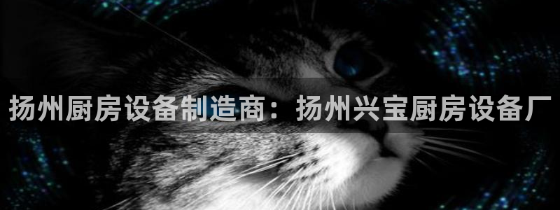尊龙官网：扬州厨房设备制造商：扬州兴宝厨房设备厂