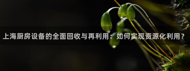 尊龙凯时人生就是搏官