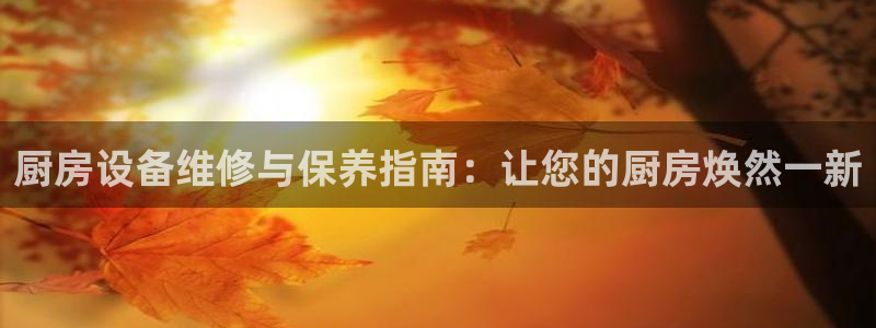 ag旗舰平台尊龙代言：厨