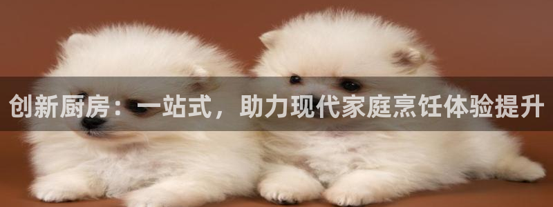 凯时最新官方APP下载