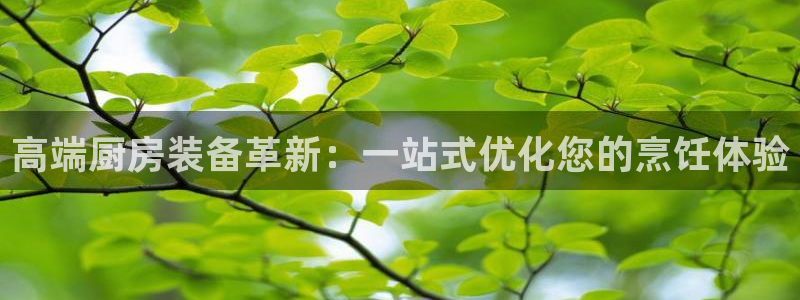 尊龙人生就是博D88