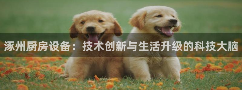 尊龙人生就是博用现金玩一下